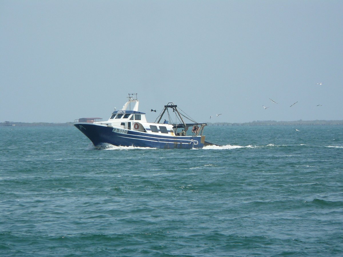 Imagen de Capitol 7 - 2000